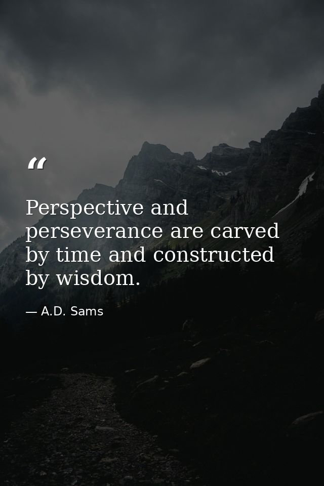 Perspective and perseverance are carved by time and constructed by wisdom. — A.D. Sams