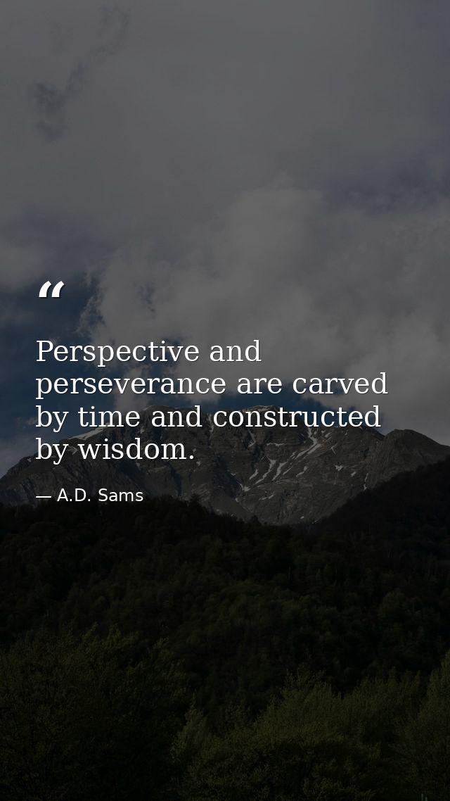 Perspective and perseverance are carved by time and constructed by wisdom. — A.D. Sams