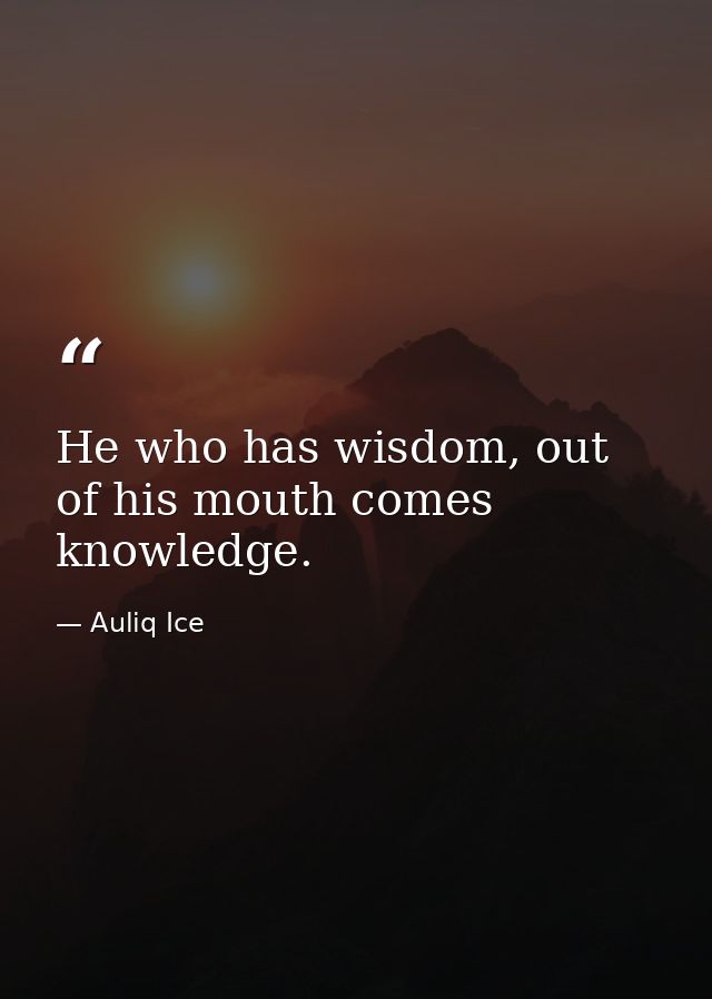 He who has wisdom, out of his mouth comes knowledge. — Auliq Ice