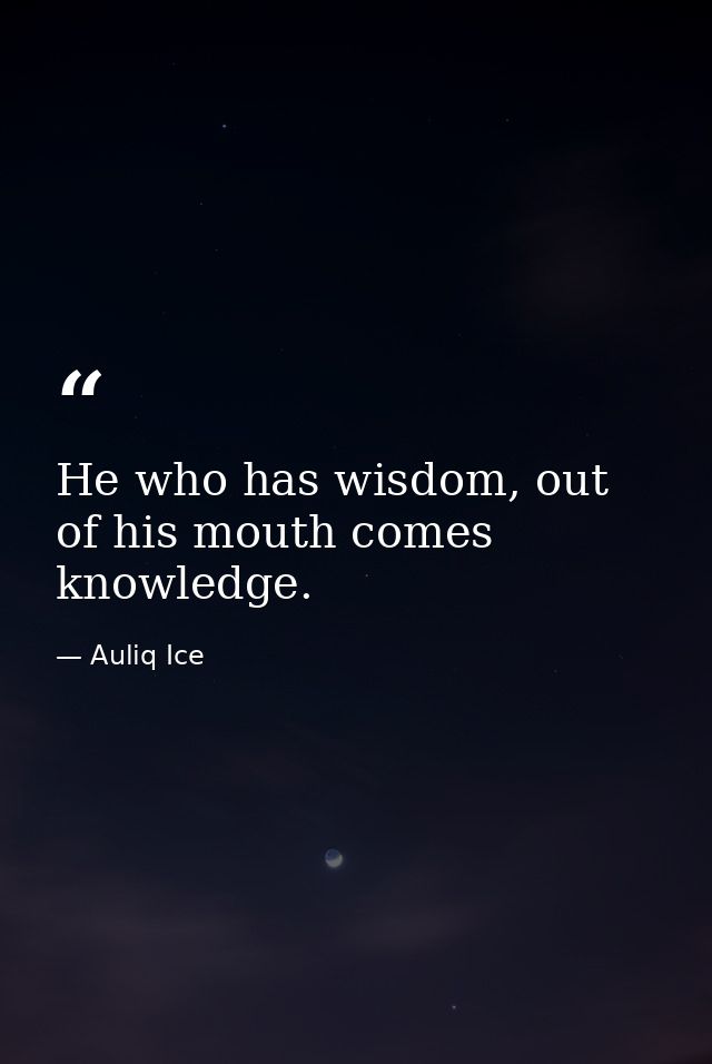 He who has wisdom, out of his mouth comes knowledge. — Auliq Ice