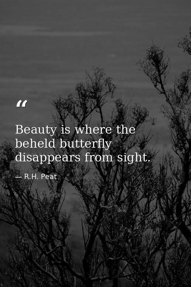 Beauty is where the beheld butterfly disappears from sight. — R.H. Peat