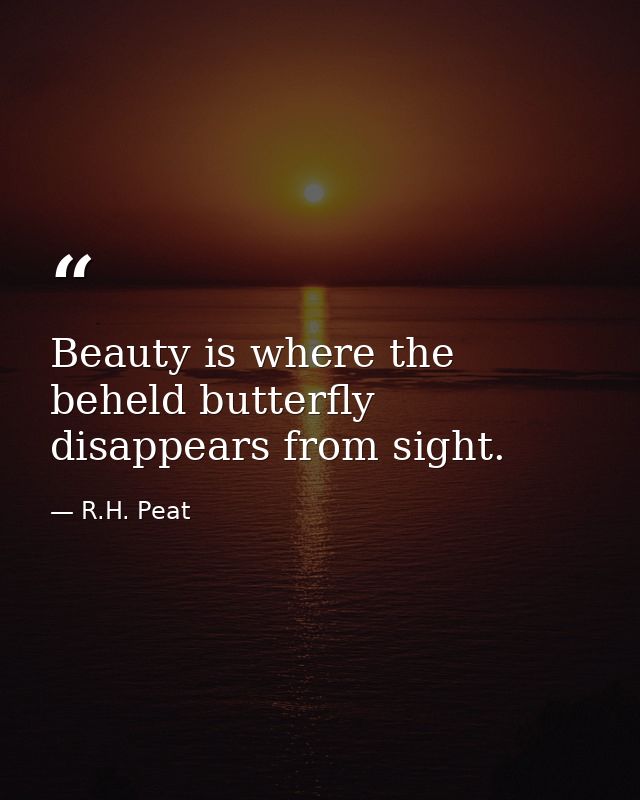 Beauty is where the beheld butterfly disappears from sight. — R.H. Peat