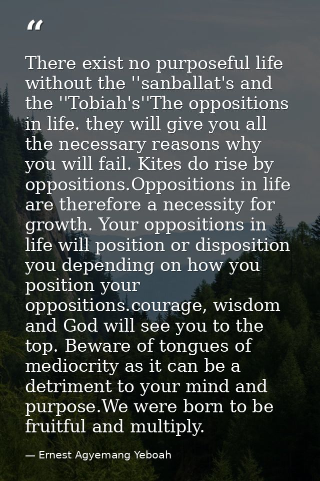 There exist no purposeful life without the ''sanballat's and the ''Tobiah's''The oppositions in life. they will give you — Ernest Agyemang Yeboah