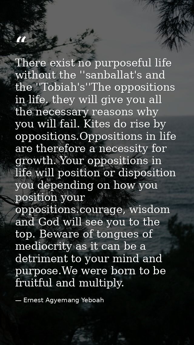 There exist no purposeful life without the ''sanballat's and the ''Tobiah's''The oppositions in life. they will give you — Ernest Agyemang Yeboah