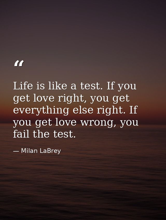 Life is like a test. If you get love right, you get everything else right. If you get love wrong, you fail the test. — Milan LaBrey