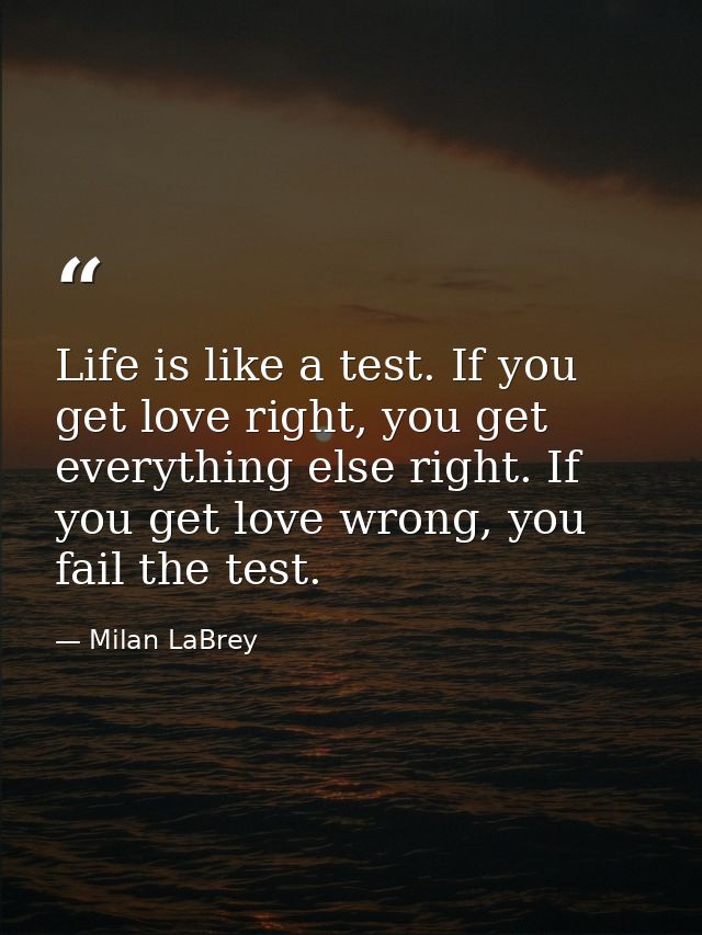 Life is like a test. If you get love right, you get everything else right. If you get love wrong, you fail the test. — Milan LaBrey