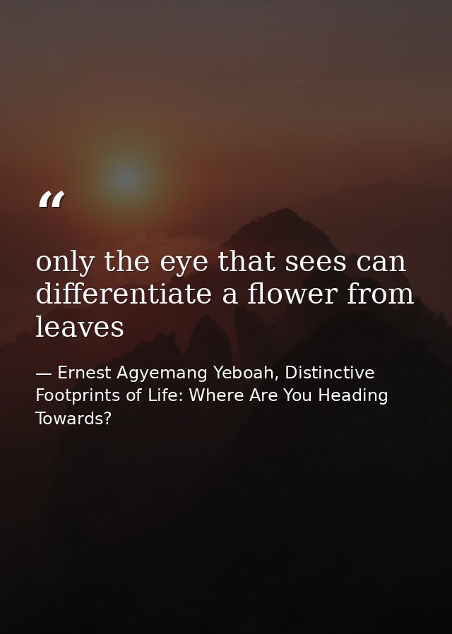 only the eye that sees can differentiate a flower from leaves — Ernest Agyemang Yeboah, Distinctive Footprints of Life: Where Are You Heading Towards?