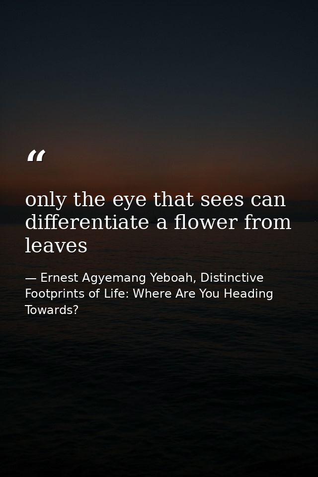 only the eye that sees can differentiate a flower from leaves — Ernest Agyemang Yeboah, Distinctive Footprints of Life: Where Are You Heading Towards?