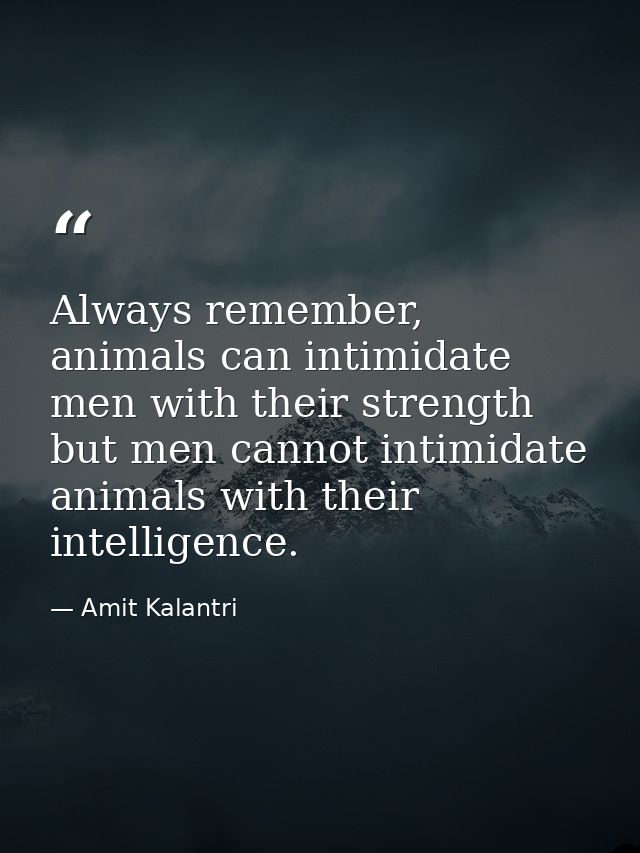 Always remember, animals can intimidate men with their strength but men cannot intimidate animals with their intelligenc — Amit Kalantri