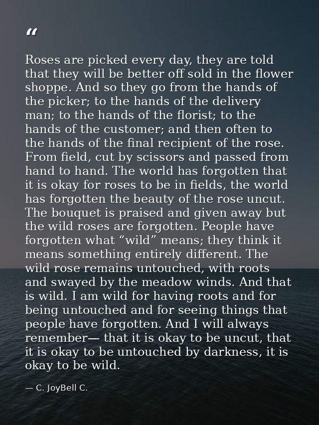 Roses are picked every day, they are told that they will be better off sold in the flower shoppe. And so they go from th — C. JoyBell C.