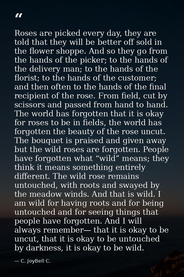 Roses are picked every day, they are told that they will be better off sold in the flower shoppe. And so they go from th — C. JoyBell C.