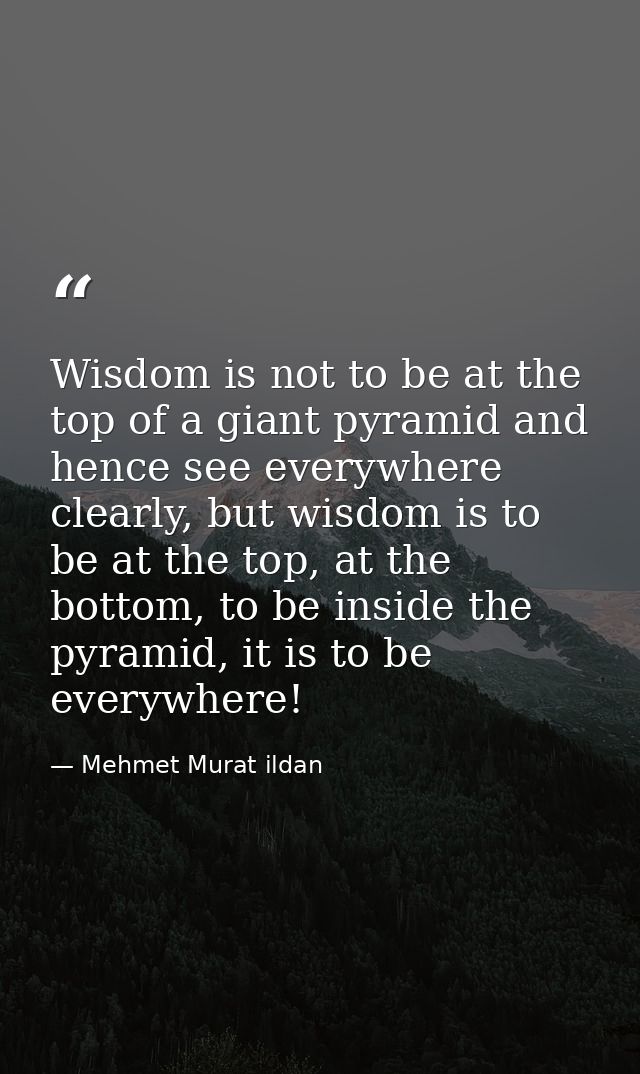 Wisdom is not to be at the top of a giant pyramid and hence see everywhere clearly, but wisdom is to be at the top, at t — Mehmet Murat ildan