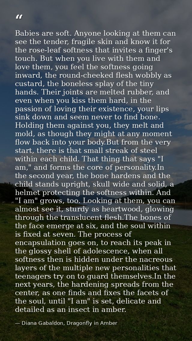 Babies are soft. Anyone looking at them can see the tender, fragile skin and know it for the rose-leaf softness that inv — Diana Gabaldon, Dragonfly in Amber