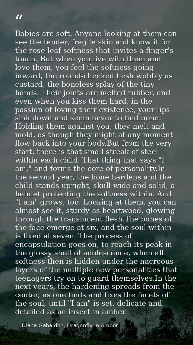 Babies are soft. Anyone looking at them can see the tender, fragile skin and know it for the rose-leaf softness that inv — Diana Gabaldon, Dragonfly in Amber