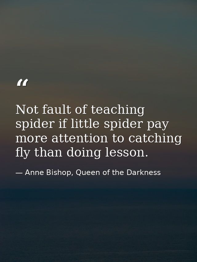Not fault of teaching spider if little spider pay more attention to catching fly than doing lesson. — Anne Bishop, Queen of the Darkness
