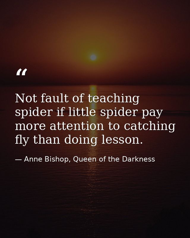 Not fault of teaching spider if little spider pay more attention to catching fly than doing lesson. — Anne Bishop, Queen of the Darkness