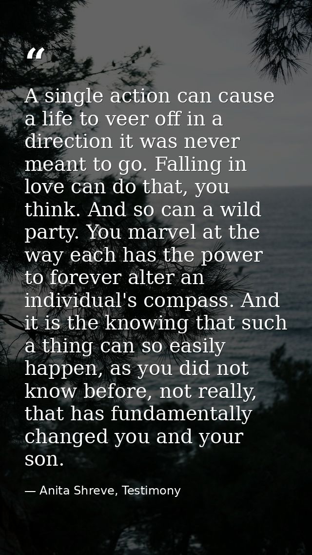 A single action can cause a life to veer off in a direction it was never meant to go. Falling in love can do that, you t — Anita Shreve, Testimony