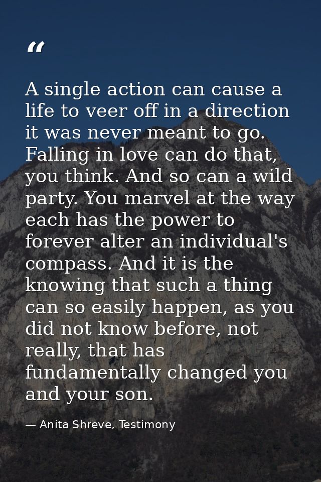 A single action can cause a life to veer off in a direction it was never meant to go. Falling in love can do that, you t — Anita Shreve, Testimony