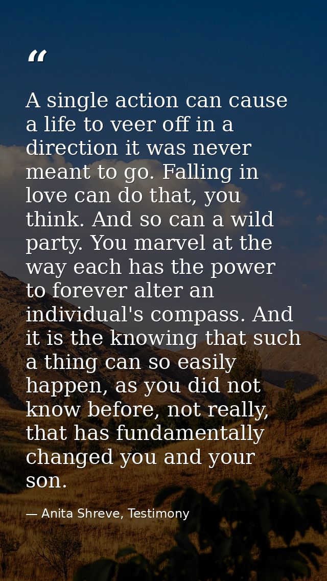 A single action can cause a life to veer off in a direction it was never meant to go. Falling in love can do that, you t — Anita Shreve, Testimony