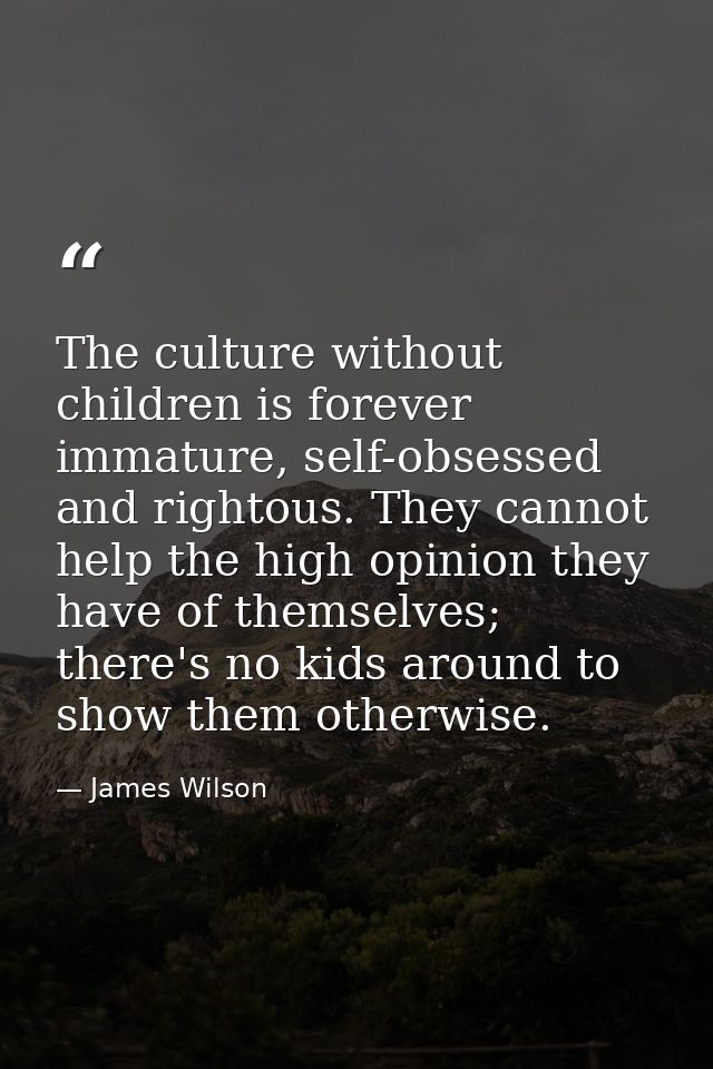 The culture without children is forever immature, self-obsessed and rightous. They cannot help the high opinion they hav — James Wilson
