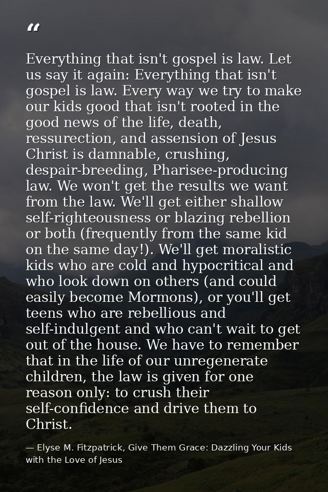 Everything that isn't gospel is law. Let us say it again: Everything that isn't gospel is law. Every way we try to make  — Elyse M. Fitzpatrick, Give Them Grace: Dazzling Your Kids with the Love of Jesus