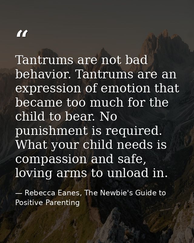 Tantrums are not bad behavior. Tantrums are an expression of emotion that became too much for the child to bear. No puni — Rebecca Eanes, The Newbie's Guide to Positive Parenting