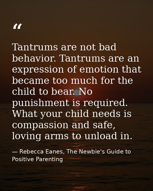 Tantrums are not bad behavior. Tantrums are an expression of emotion that became too much for the child to bear. No puni — Rebecca Eanes, The Newbie's Guide to Positive Parenting