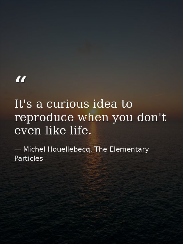 It's a curious idea to reproduce when you don't even like life. — Michel Houellebecq, The Elementary Particles