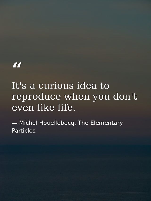 It's a curious idea to reproduce when you don't even like life. — Michel Houellebecq, The Elementary Particles