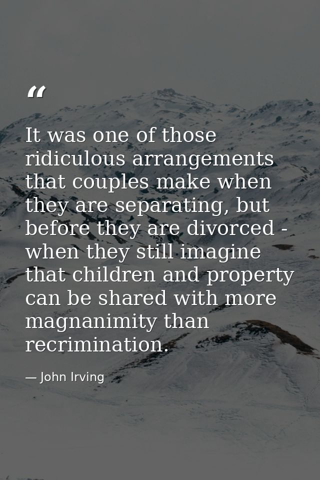 It was one of those ridiculous arrangements that couples make when they are separating, but before they are divorced - w — John Irving