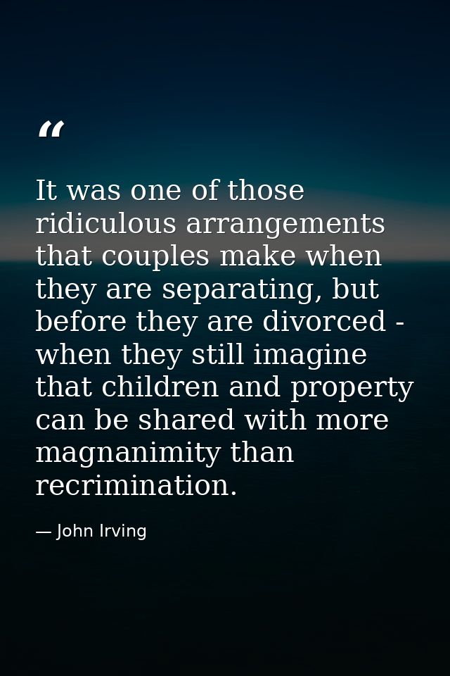 It was one of those ridiculous arrangements that couples make when they are separating, but before they are divorced - w — John Irving