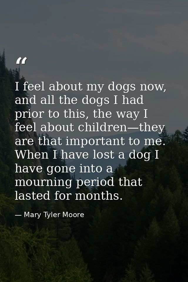 I feel about my dogs now, and all the dogs I had prior to this, the way I feel about children—they are that important to — Mary Tyler Moore