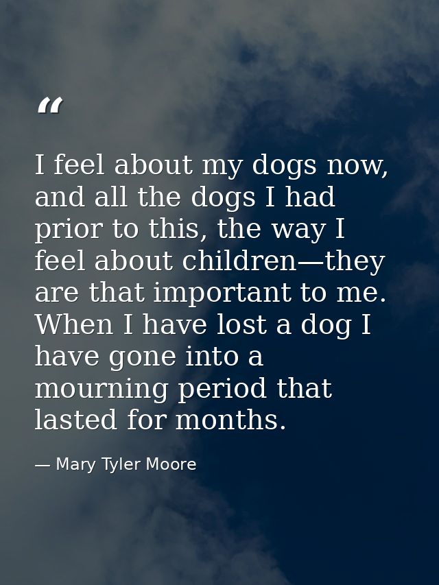 I feel about my dogs now, and all the dogs I had prior to this, the way I feel about children—they are that important to — Mary Tyler Moore