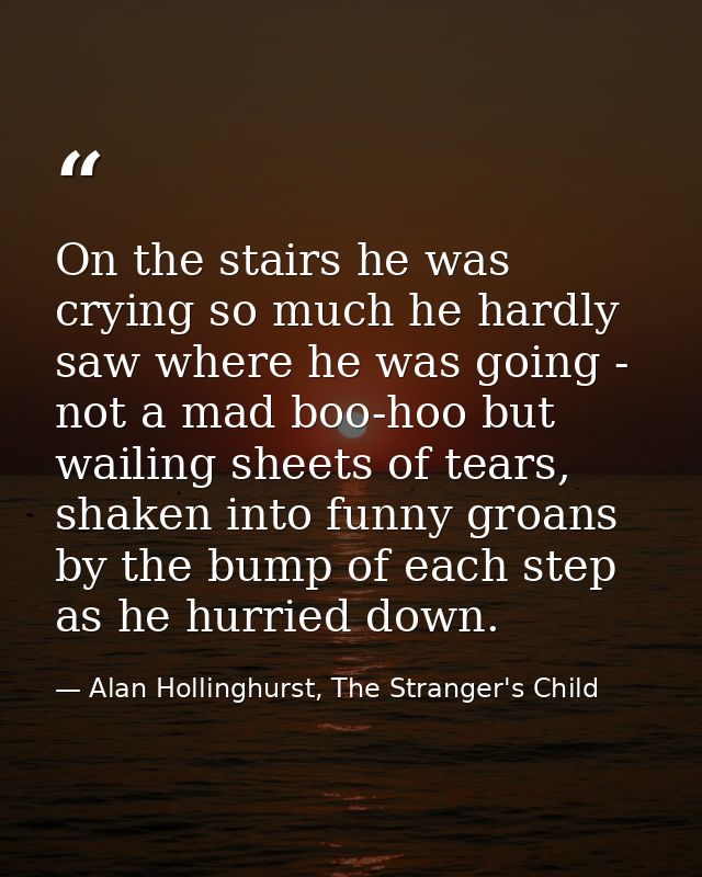 On the stairs he was crying so much he hardly saw where he was going - not a mad boo-hoo but wailing sheets of tears, sh — Alan Hollinghurst, The Stranger's Child