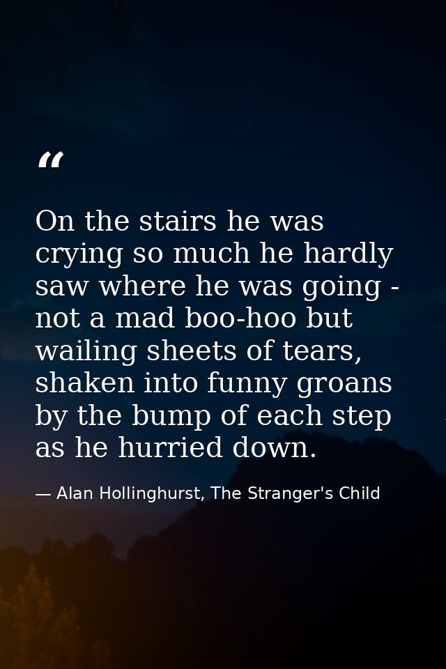 On the stairs he was crying so much he hardly saw where he was going - not a mad boo-hoo but wailing sheets of tears, sh — Alan Hollinghurst, The Stranger's Child
