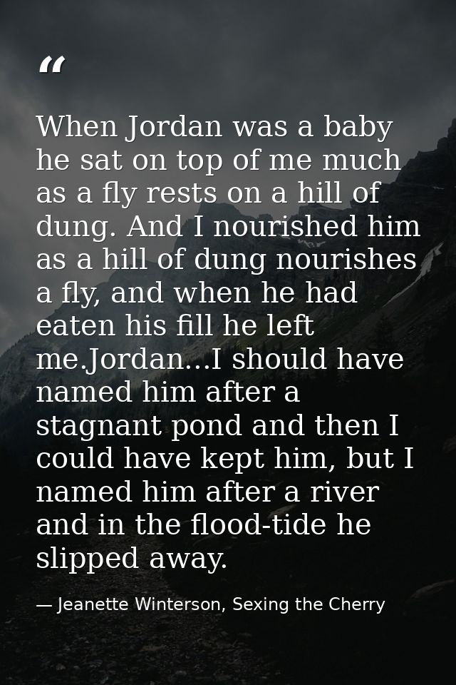 When Jordan was a baby he sat on top of me much as a fly rests on a hill of dung. And I nourished him as a hill of dung  — Jeanette Winterson, Sexing the Cherry