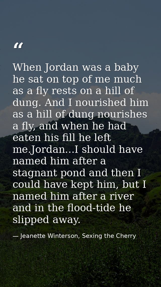 When Jordan was a baby he sat on top of me much as a fly rests on a hill of dung. And I nourished him as a hill of dung  — Jeanette Winterson, Sexing the Cherry