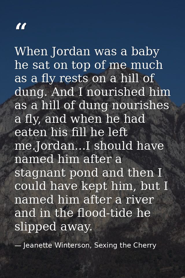 When Jordan was a baby he sat on top of me much as a fly rests on a hill of dung. And I nourished him as a hill of dung  — Jeanette Winterson, Sexing the Cherry