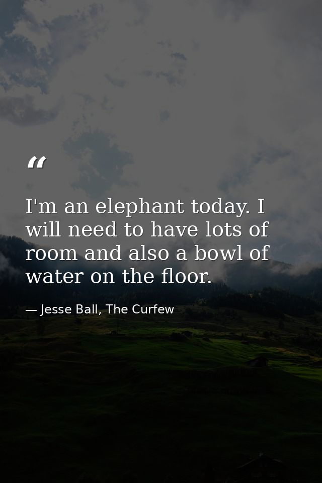 I'm an elephant today. I will need to have lots of room and also a bowl of water on the floor. — Jesse Ball, The Curfew