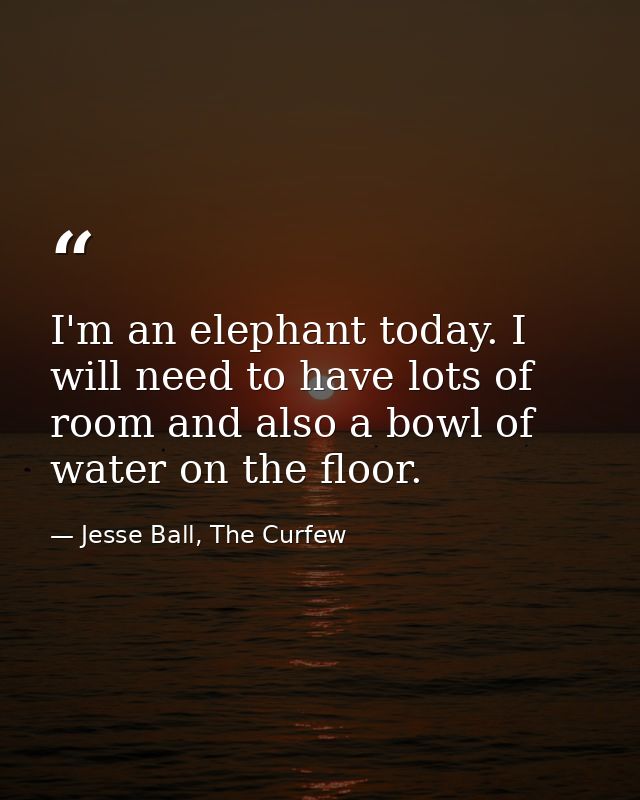 I'm an elephant today. I will need to have lots of room and also a bowl of water on the floor. — Jesse Ball, The Curfew