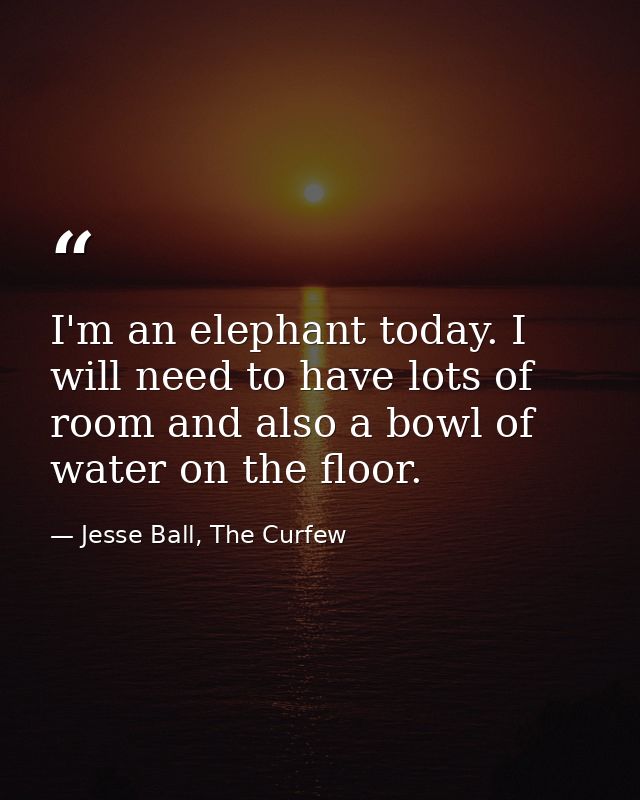 I'm an elephant today. I will need to have lots of room and also a bowl of water on the floor. — Jesse Ball, The Curfew