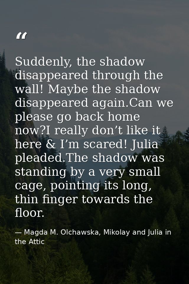Suddenly, the shadow disappeared through the wall! Maybe the shadow disappeared again.Can we please go back home now?I r — Magda M. Olchawska, Mikolay and Julia in the Attic