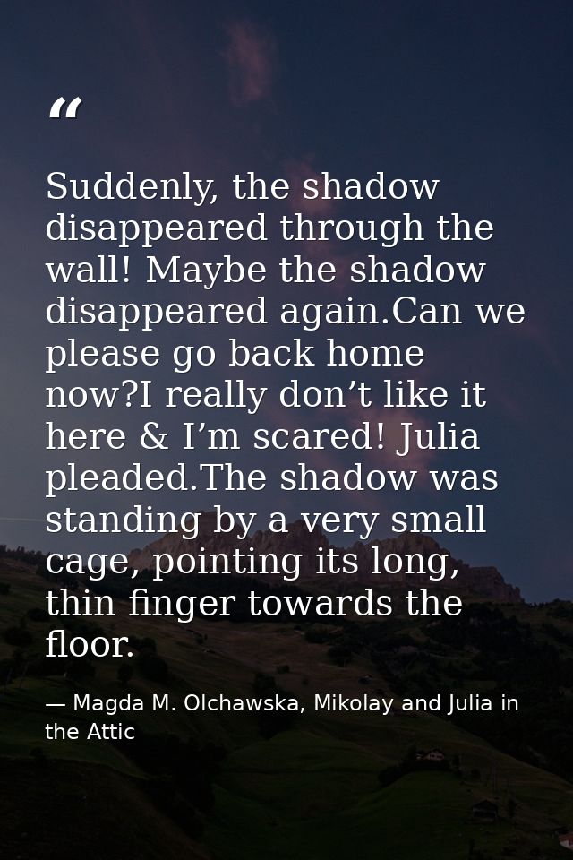 Suddenly, the shadow disappeared through the wall! Maybe the shadow disappeared again.Can we please go back home now?I r — Magda M. Olchawska, Mikolay and Julia in the Attic