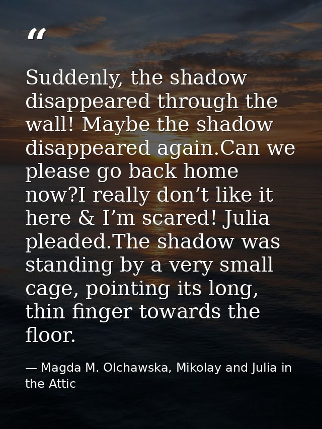 Suddenly, the shadow disappeared through the wall! Maybe the shadow disappeared again.Can we please go back home now?I r — Magda M. Olchawska, Mikolay and Julia in the Attic