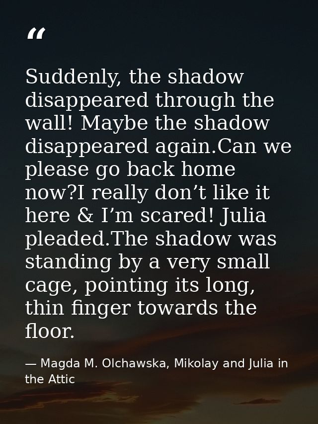 Suddenly, the shadow disappeared through the wall! Maybe the shadow disappeared again.Can we please go back home now?I r — Magda M. Olchawska, Mikolay and Julia in the Attic
