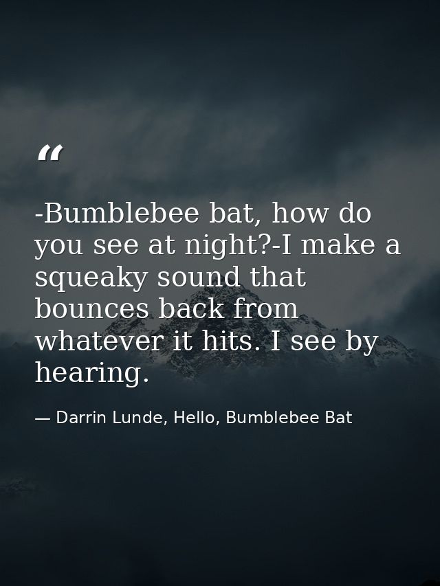 -Bumblebee bat, how do you see at night?-I make a squeaky sound that bounces back from whatever it hits. I see by hearin — Darrin Lunde, Hello, Bumblebee Bat