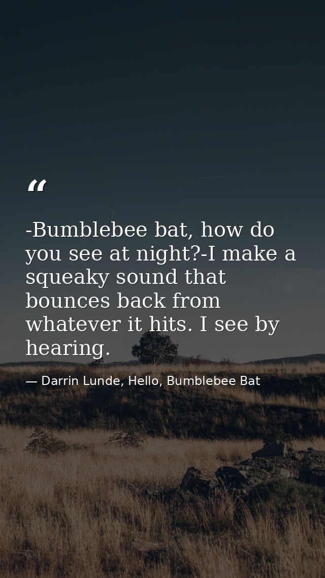 -Bumblebee bat, how do you see at night?-I make a squeaky sound that bounces back from whatever it hits. I see by hearin — Darrin Lunde, Hello, Bumblebee Bat