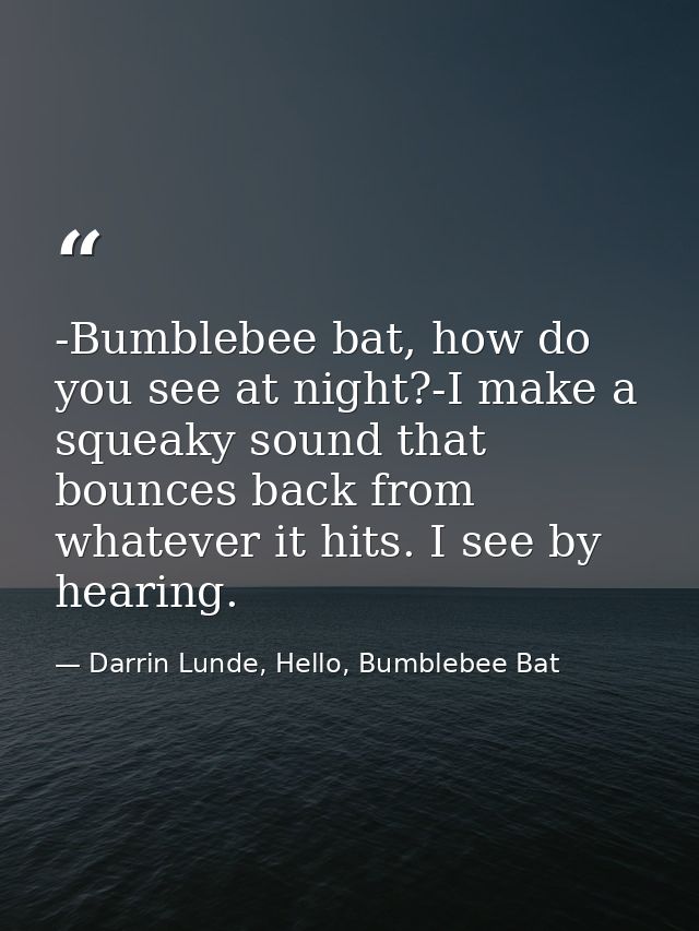 -Bumblebee bat, how do you see at night?-I make a squeaky sound that bounces back from whatever it hits. I see by hearin — Darrin Lunde, Hello, Bumblebee Bat