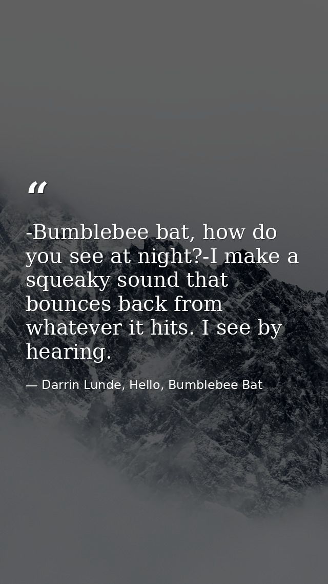 -Bumblebee bat, how do you see at night?-I make a squeaky sound that bounces back from whatever it hits. I see by hearin — Darrin Lunde, Hello, Bumblebee Bat