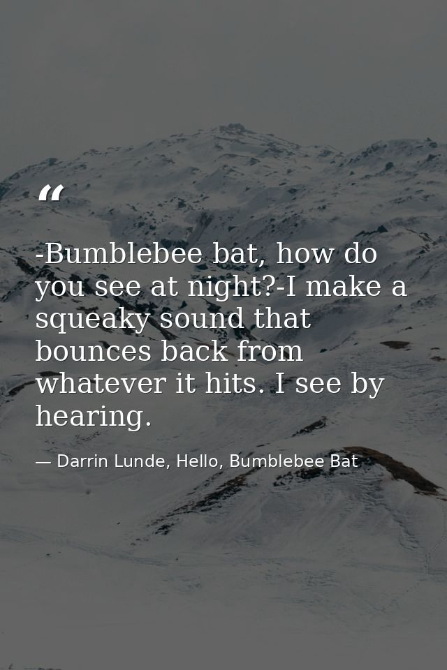 -Bumblebee bat, how do you see at night?-I make a squeaky sound that bounces back from whatever it hits. I see by hearin — Darrin Lunde, Hello, Bumblebee Bat